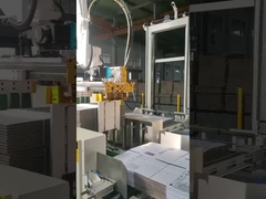 TAEMS Roboter-Palletierer für Karton